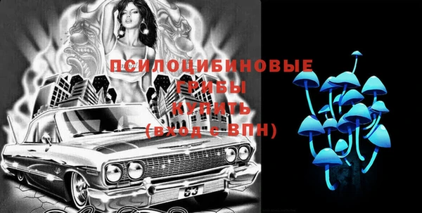 тгк Ладушкин