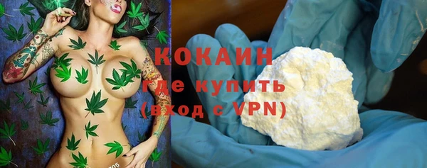 прущие грибы Абаза